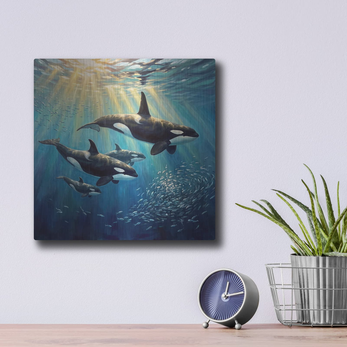 'Golden Hour Orca Family Hunt' by Veve – Metal Wall Art, 12x12 room view