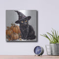 'Holloween Witch Hat Nap' by Veve – Metal Wall Art, 12x12 room view