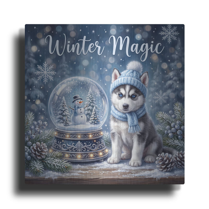 'Husky Winter Magic' by Veve – Metal Wall Art