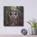 'Jungle Owl' by Veve – Metal Wall Art, 12x12 room view