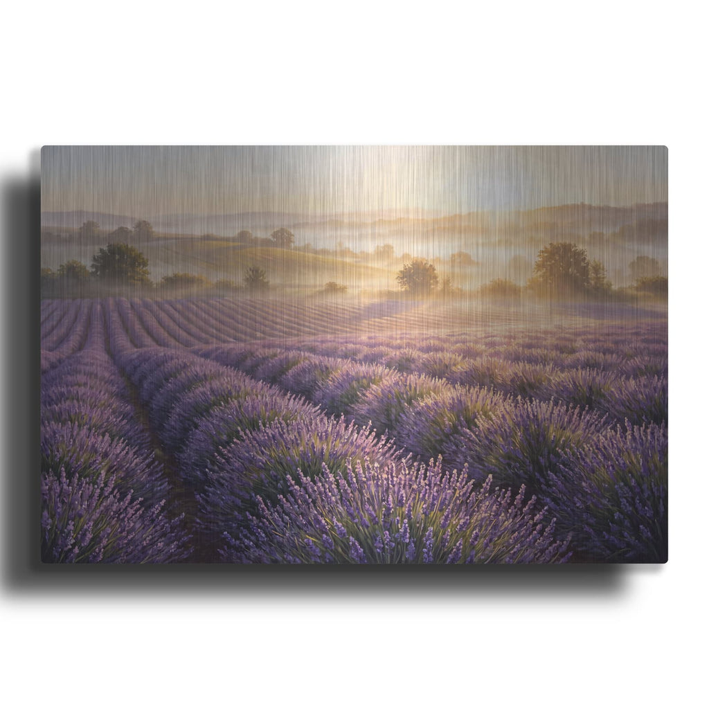 'Lavender Fields' by Veve – Metal Wall Art