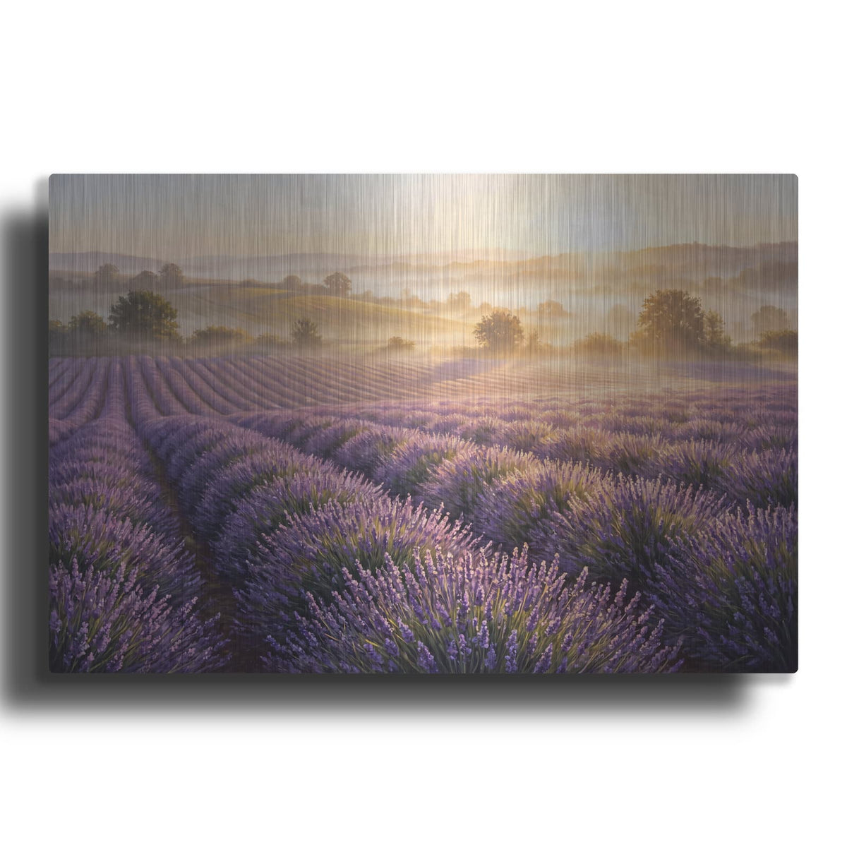 'Lavender Fields' by Veve – Metal Wall Art