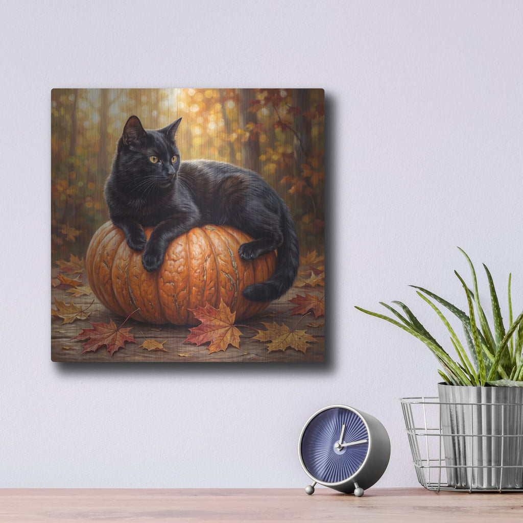 'Moonlight Peek' by Veve – Metal Wall Art, 12x12 room view