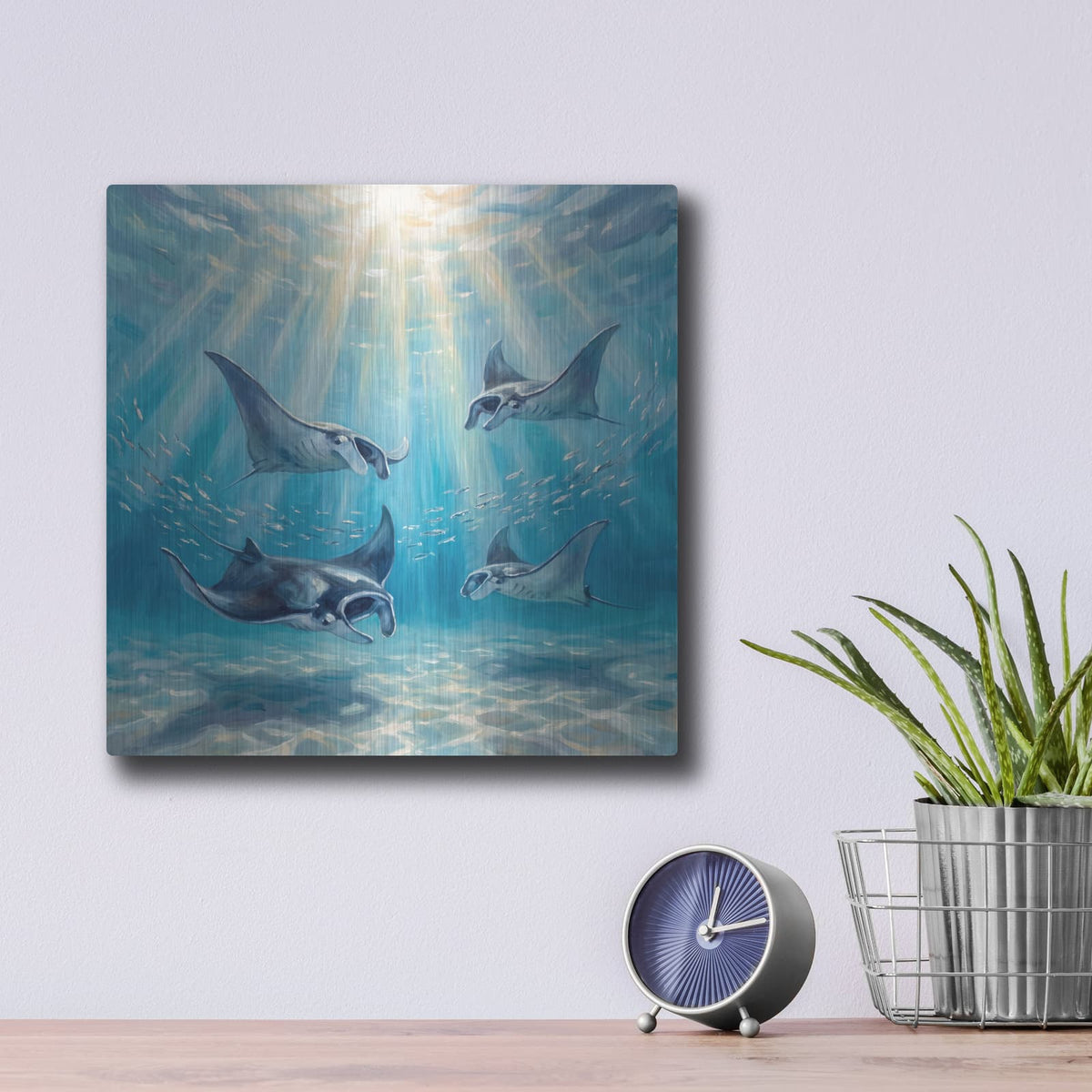 'Ocean Angels Dance of the Manta' by Veve – Metal Wall Art, 12x12 room view