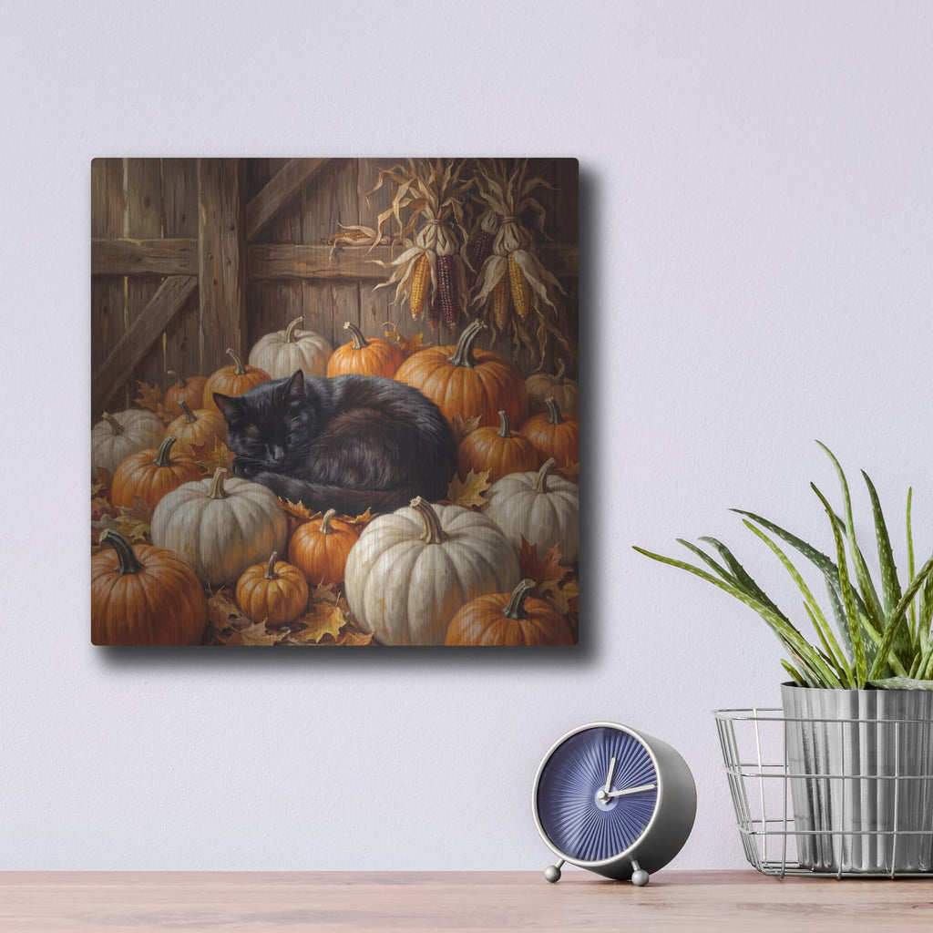 'Pumpkin Nap' by Veve – Metal Wall Art, 12x12 room view