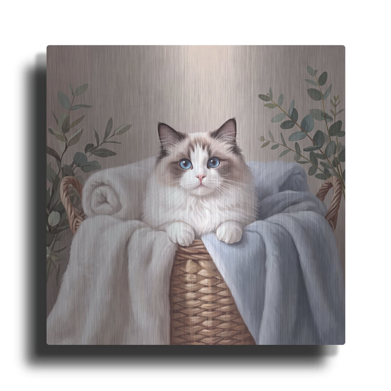 'Ragdoll Cat in Laundry Basket' by Veve – Metal Wall Art