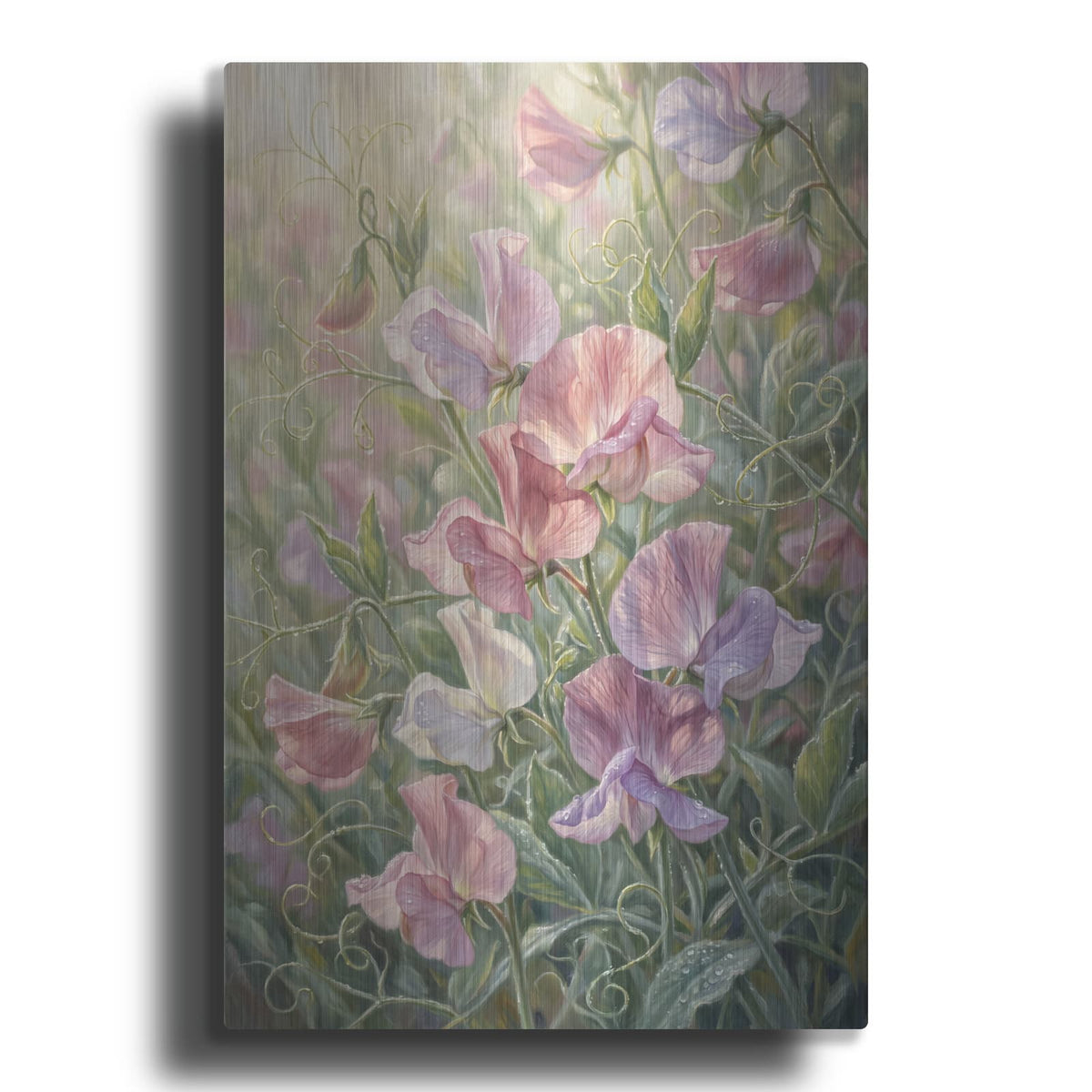 'Sweet Pea Reverie' by Veve – Metal Wall Art
