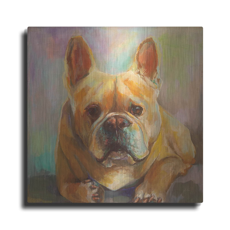 'Frenchie' by Jeanette Vertentes – Metal Wall Art