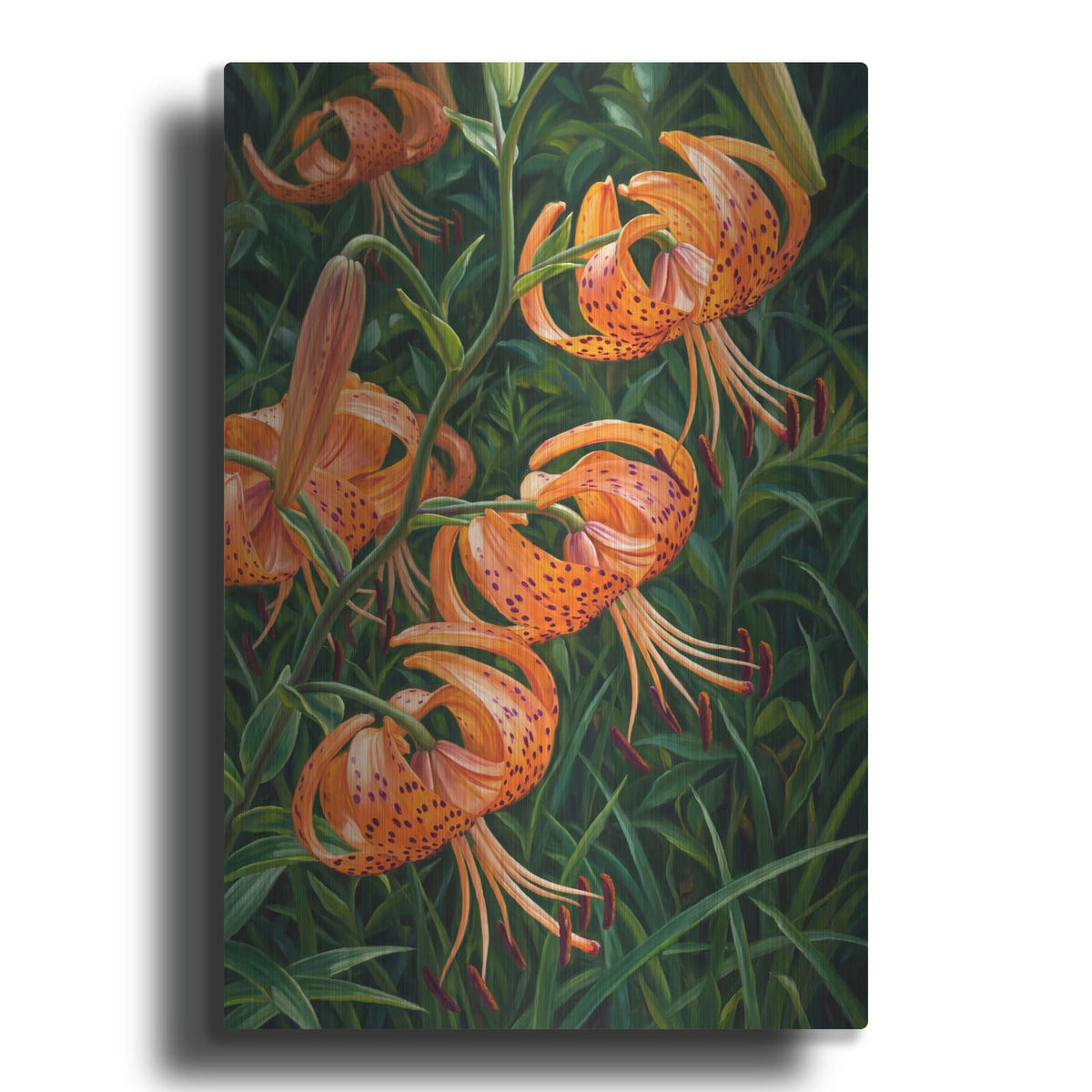 'Tiger Lily Dance' by Veve – Metal Wall Art