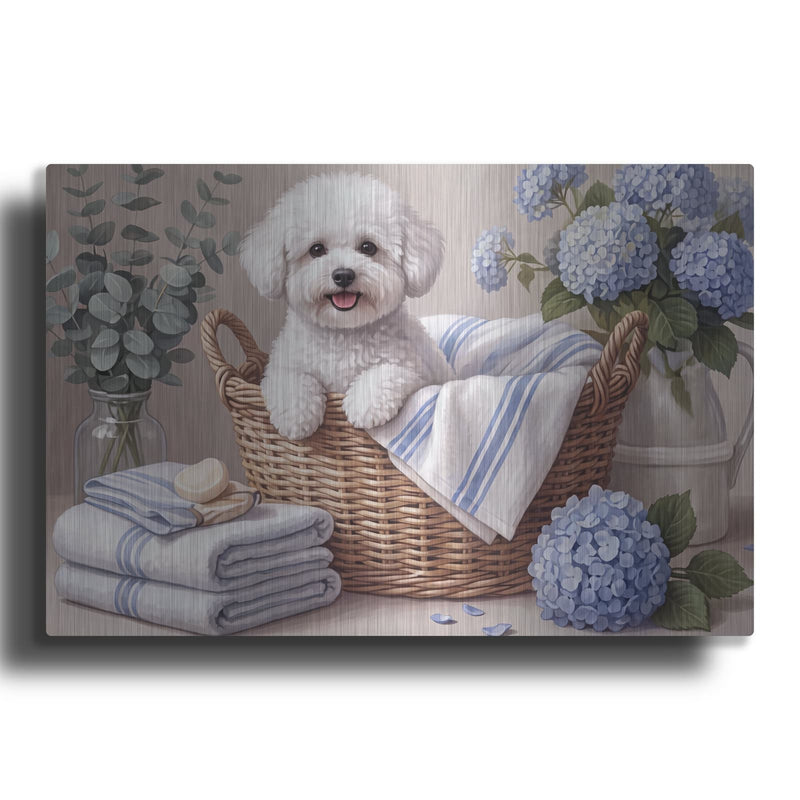 'White Bichon in Laundry Basket' by Veve – Metal Wall Art