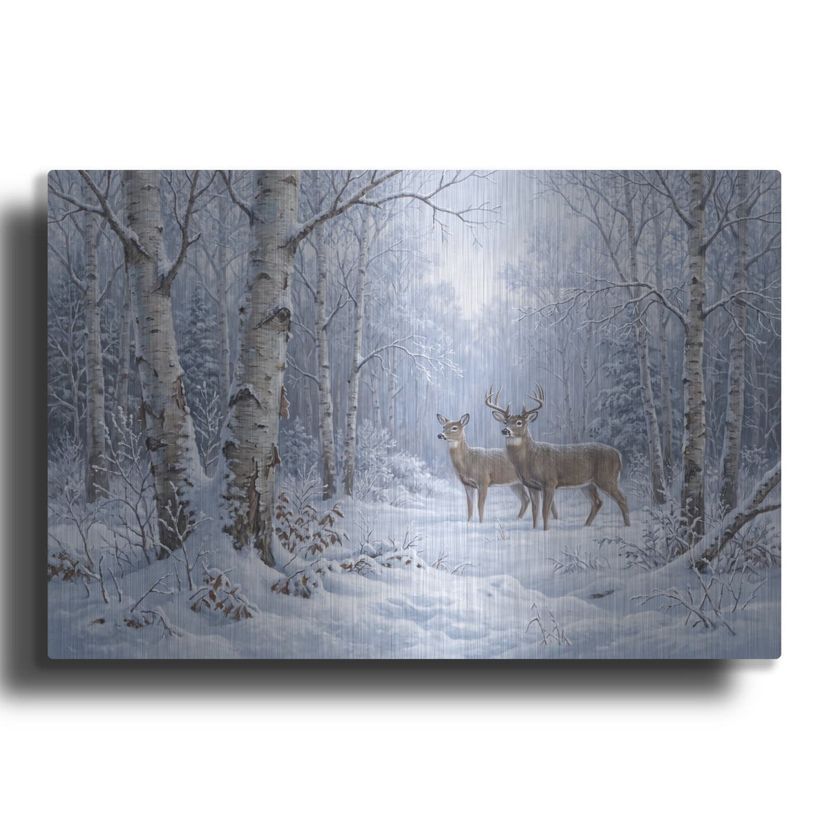 'Winter Birch' by Veve – Metal Wall Art