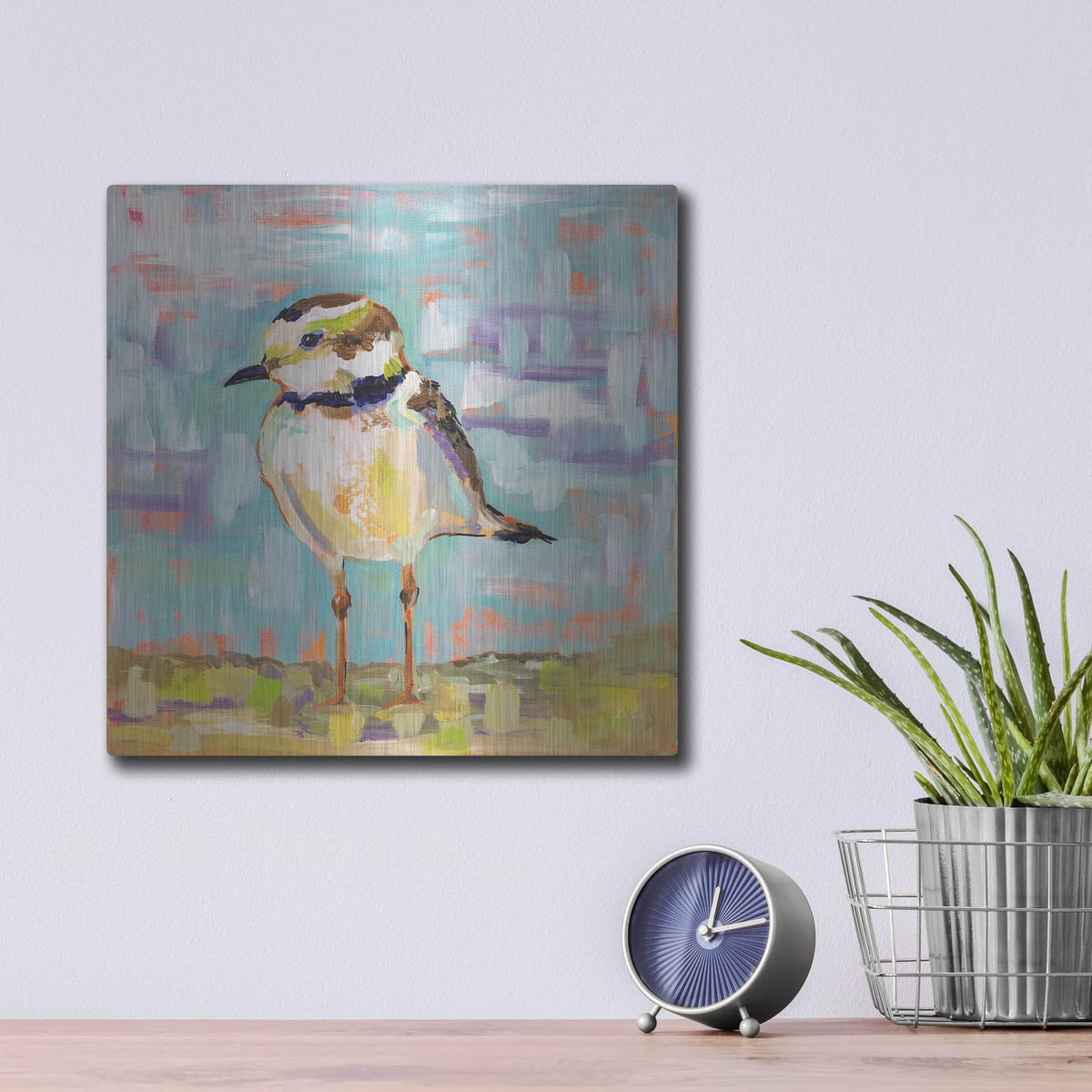 'Coastal Plover II' by Jeanette Vertentes – Metal Wall Art, 12x12 room view