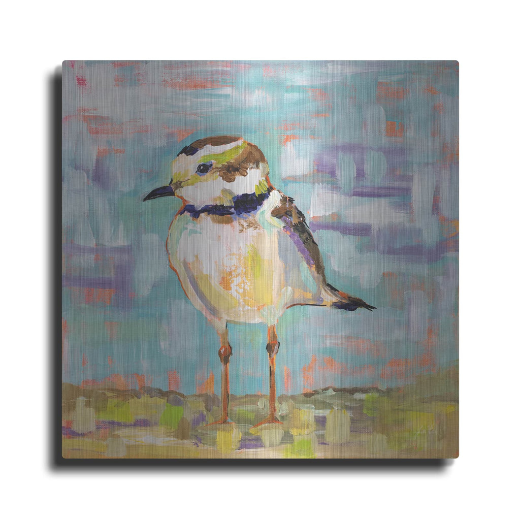 'Coastal Plover II' by Jeanette Vertentes – Metal Wall Art
