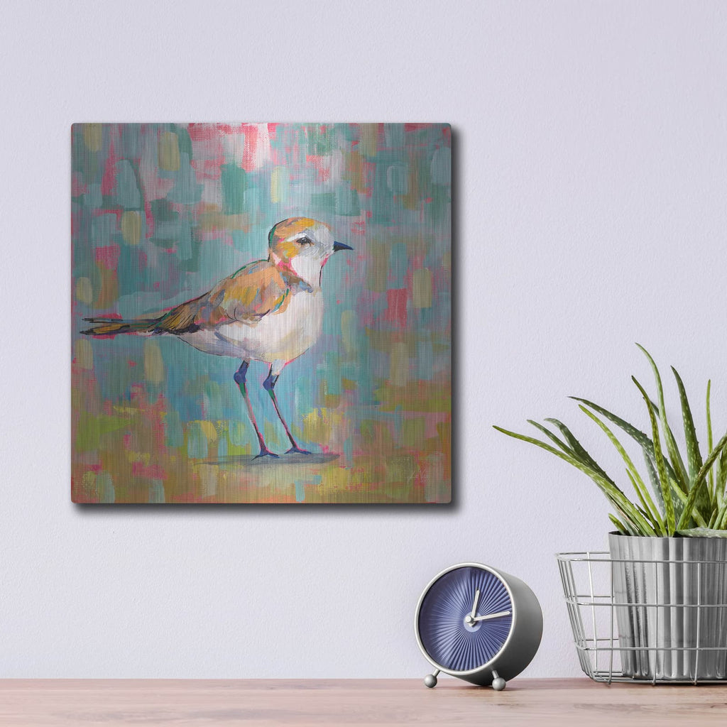 'Coastal Plover III' by Jeanette Vertentes – Metal Wall Art, 12x12 room view