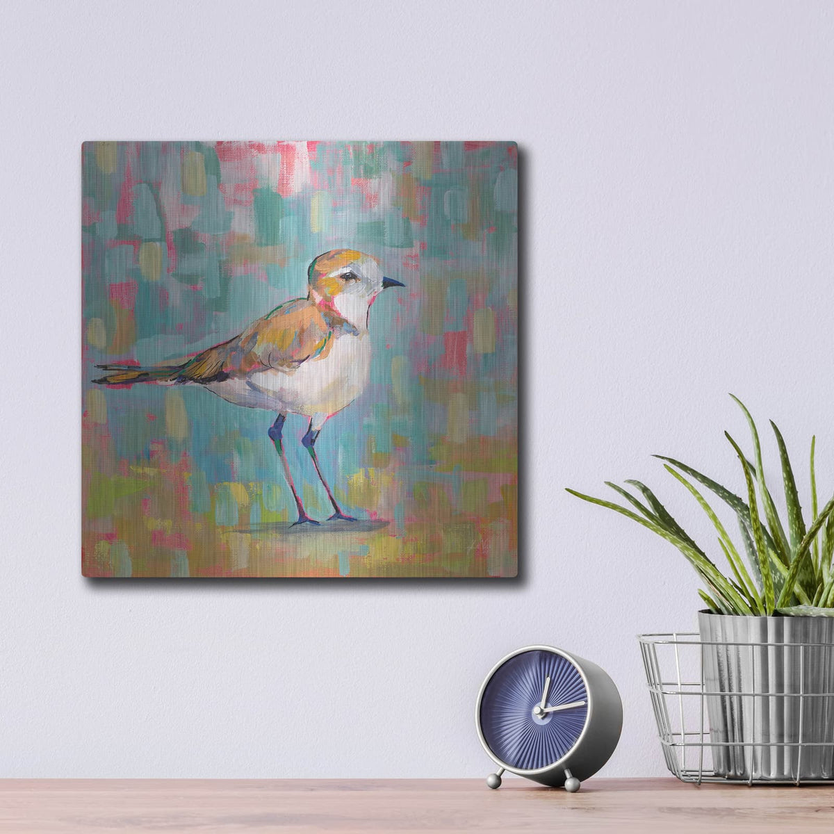 'Coastal Plover III' by Jeanette Vertentes – Metal Wall Art, 12x12 room view