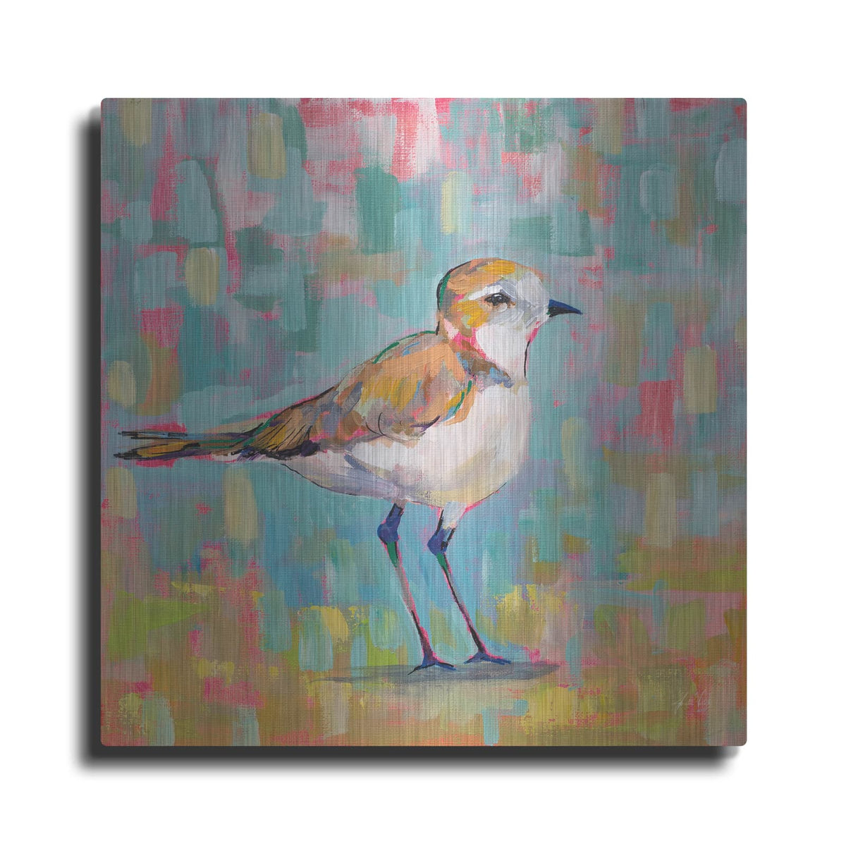 'Coastal Plover III' by Jeanette Vertentes – Metal Wall Art