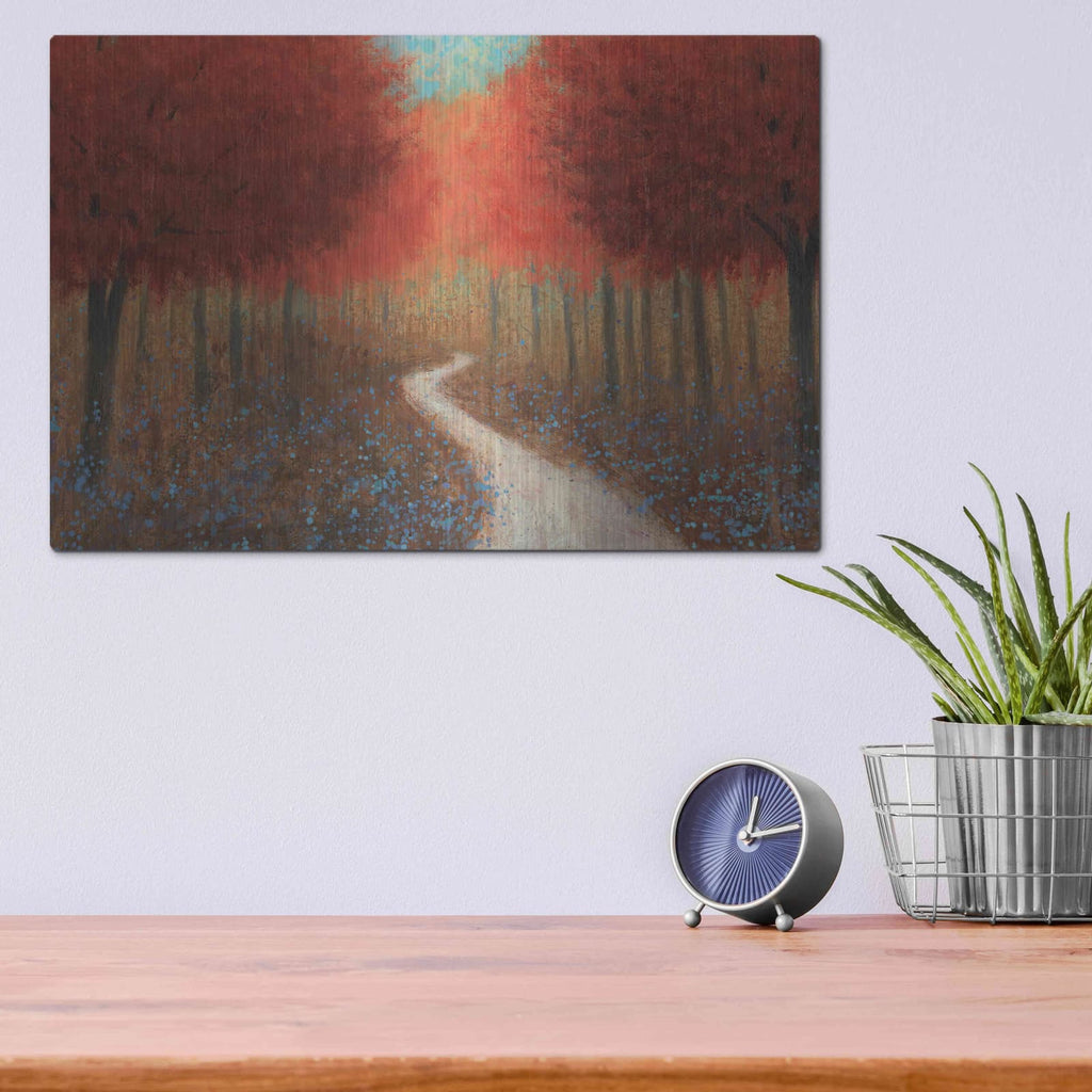 'Forest Pathway' by James Wiens – Metal Wall Art, 16x12 room view