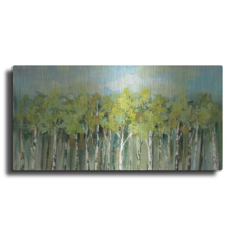 'April Tree Tops' by Silvia Vassileva – Metal Wall Art