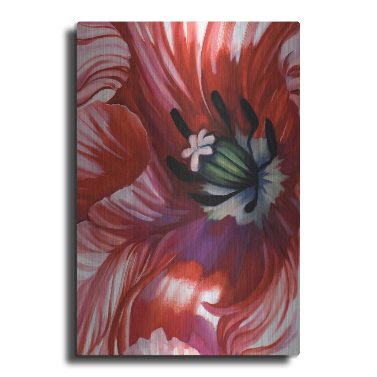 'Swashbuckler Poppy' by Louise Montillio – Metal Wall Art