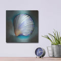 'Clam Shell Glow' by Louise Montillio – Metal Wall Art, 12x12 room view
