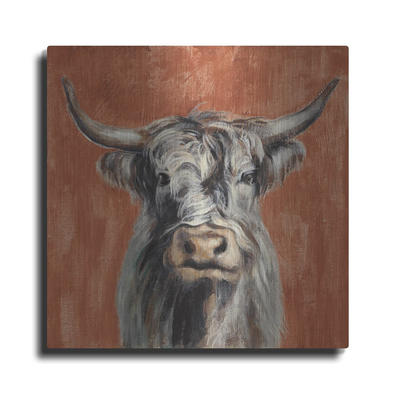 'Highland Cow on Terracotta' by Silvia Vassileva – Metal Wall Art