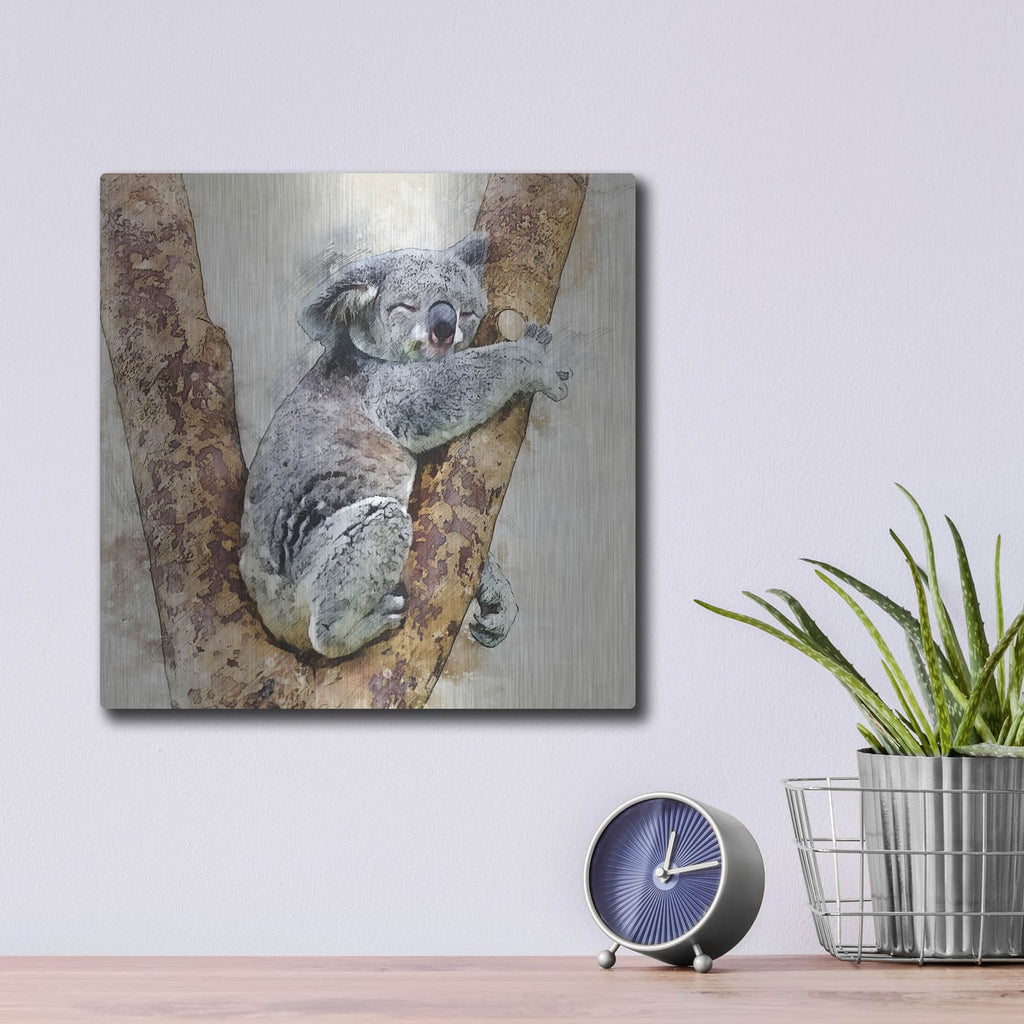 'Koala 4' by Kim Curinga – Metal Wall Art, 12x12 room view