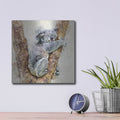 'Koala 4' by Kim Curinga – Metal Wall Art, 12x12 room view
