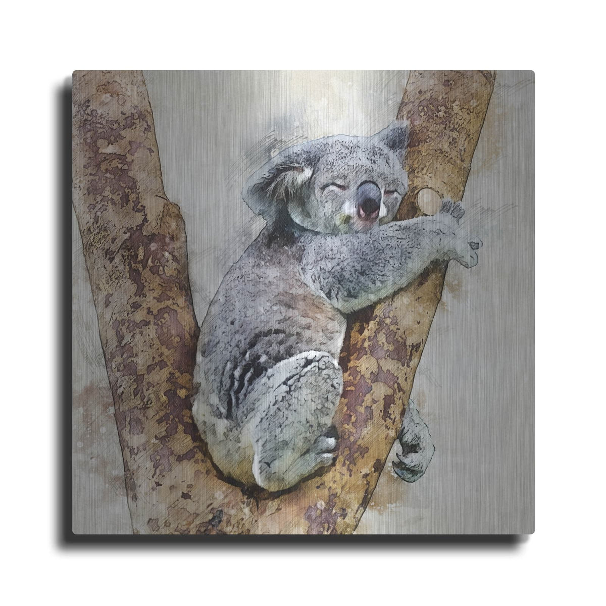 'Koala 4' by Kim Curinga – Metal Wall Art