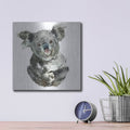 'Koala Cuddle' by Kim Curinga – Metal Wall Art, 12x12 room view
