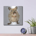 'Curious Mouse' by Kim Curinga – Metal Wall Art, 12x12 room view