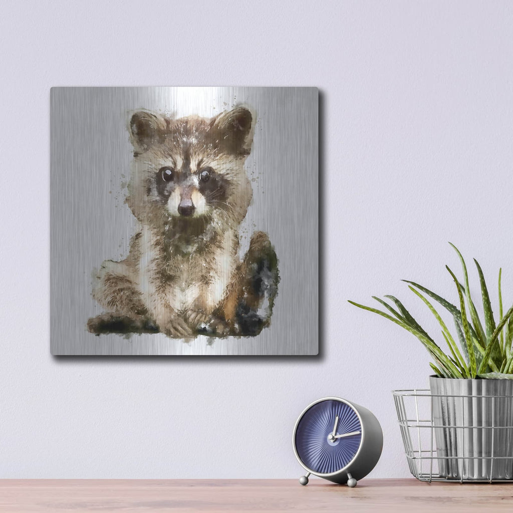 'Ricky Racoon' by Kim Curinga – Metal Wall Art, 12x12 room view