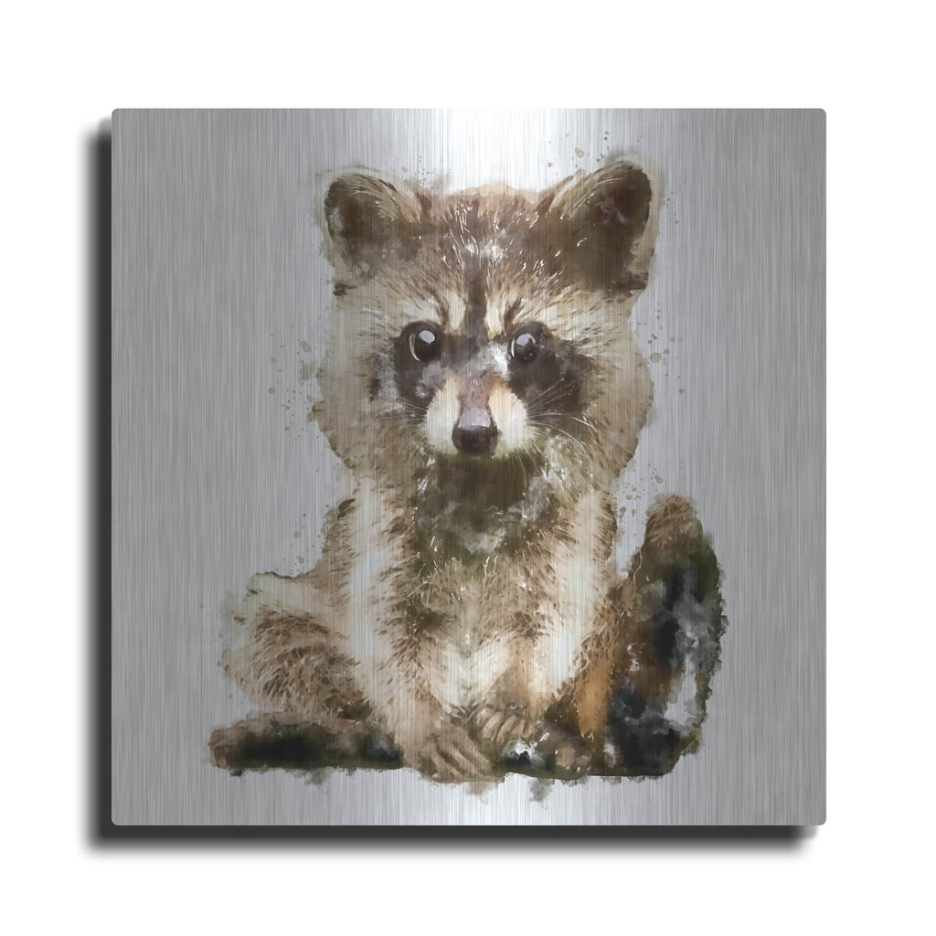 'Ricky Racoon' by Kim Curinga – Metal Wall Art