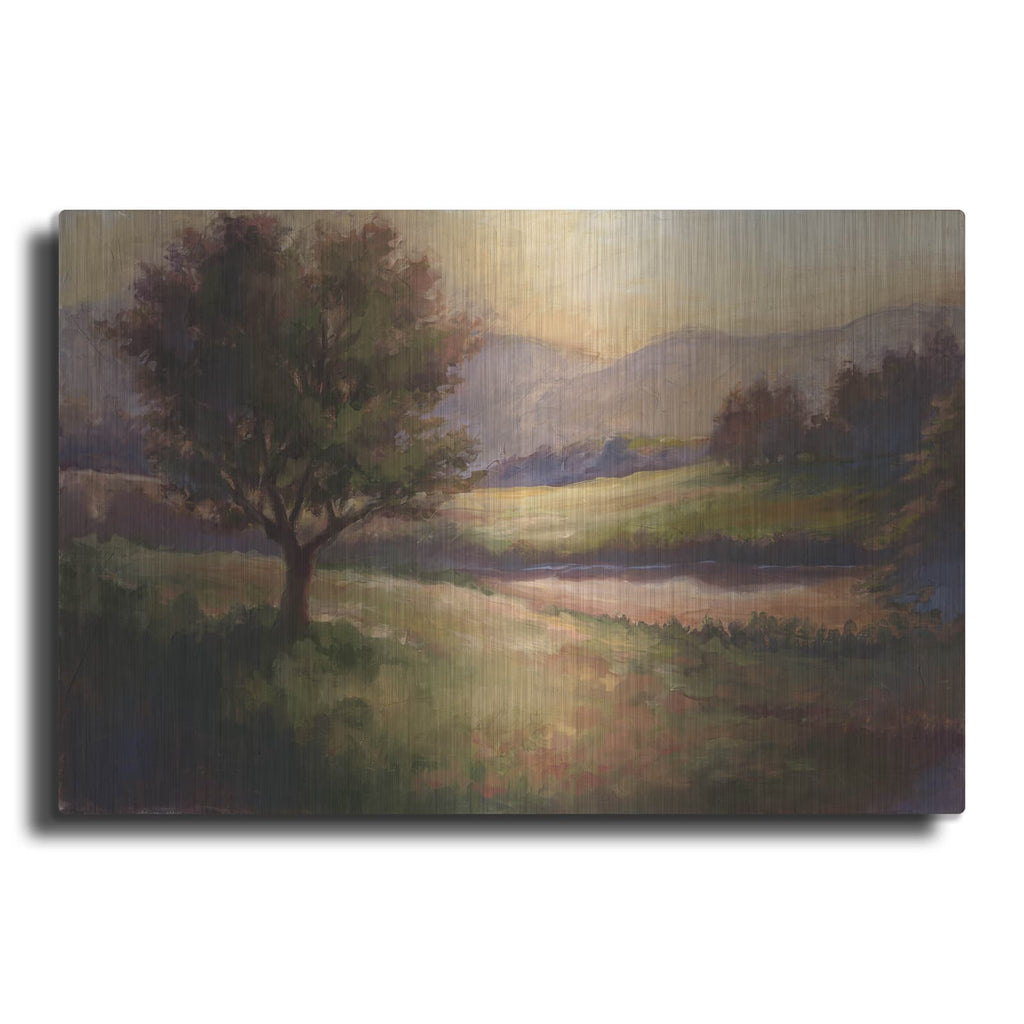 'Foothills of Appalachia I' by Ethan Harper – Metal Wall Art
