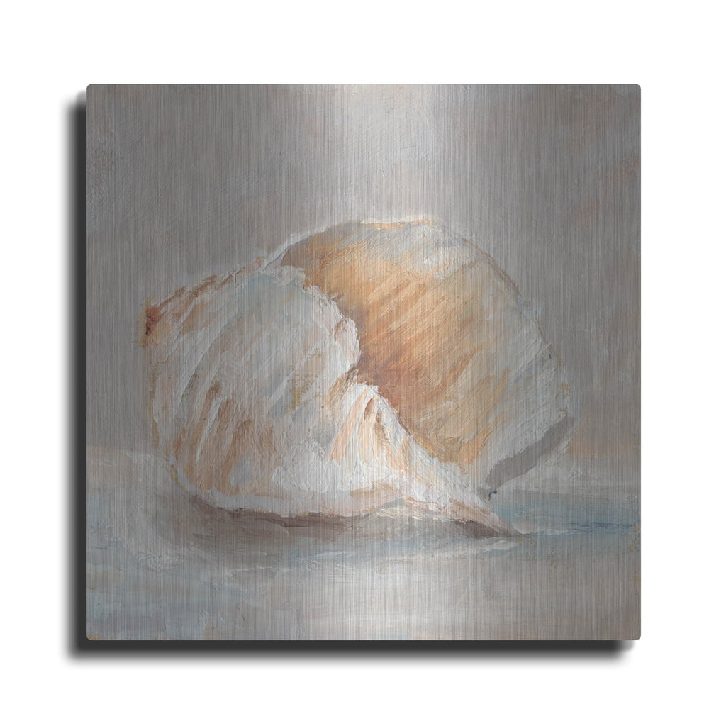 'Impressionist Shell Study IV' by Ethan Harper – Metal Wall Art