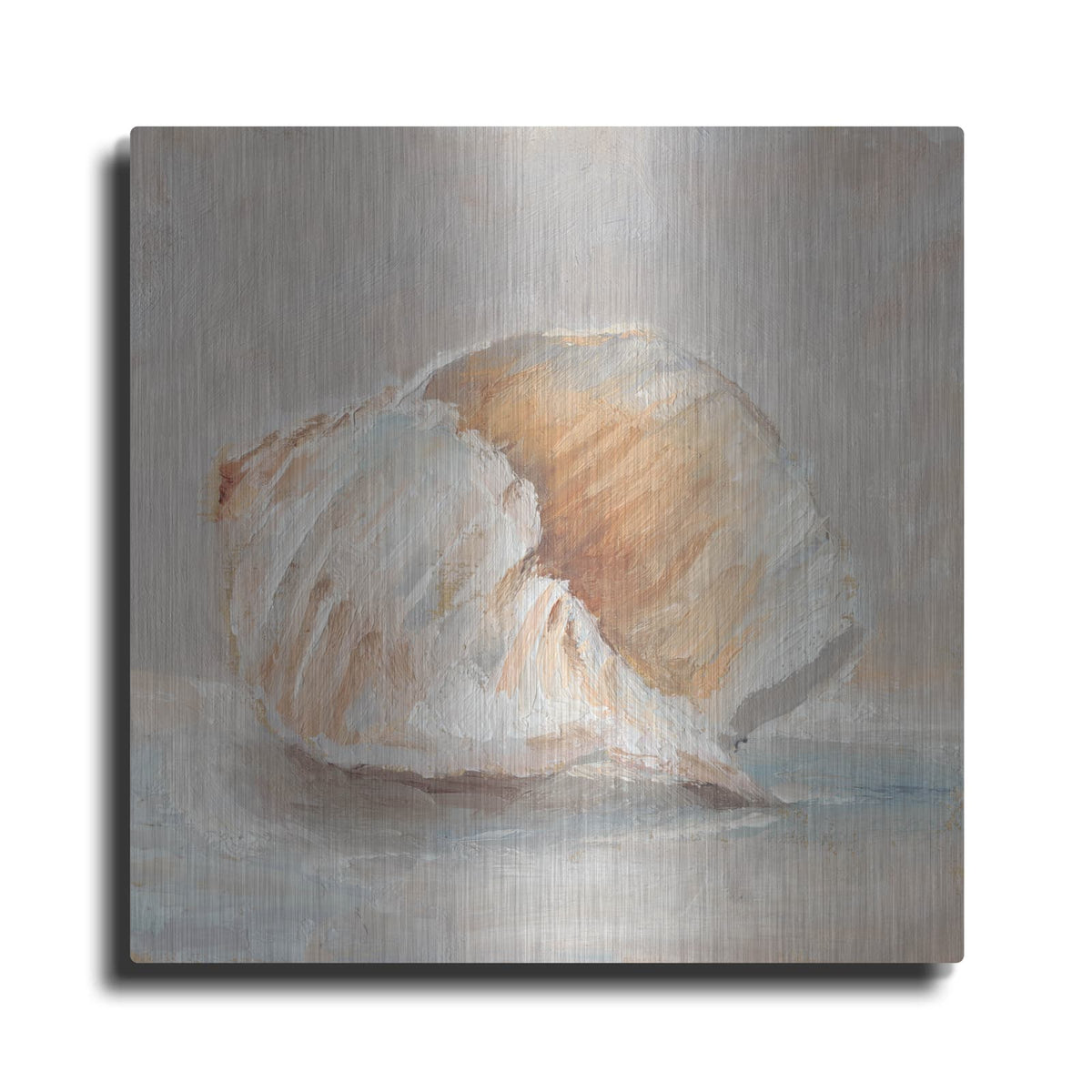 'Impressionist Shell Study IV' by Ethan Harper – Metal Wall Art