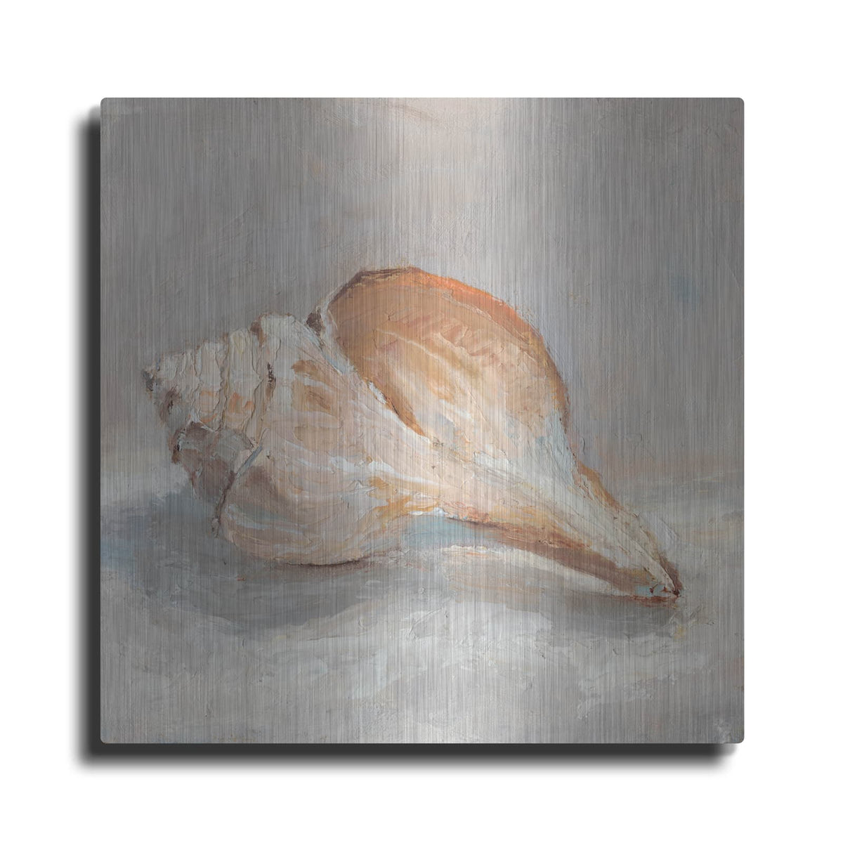 'Impressionist Shell Study III' by Ethan Harper – Metal Wall Art