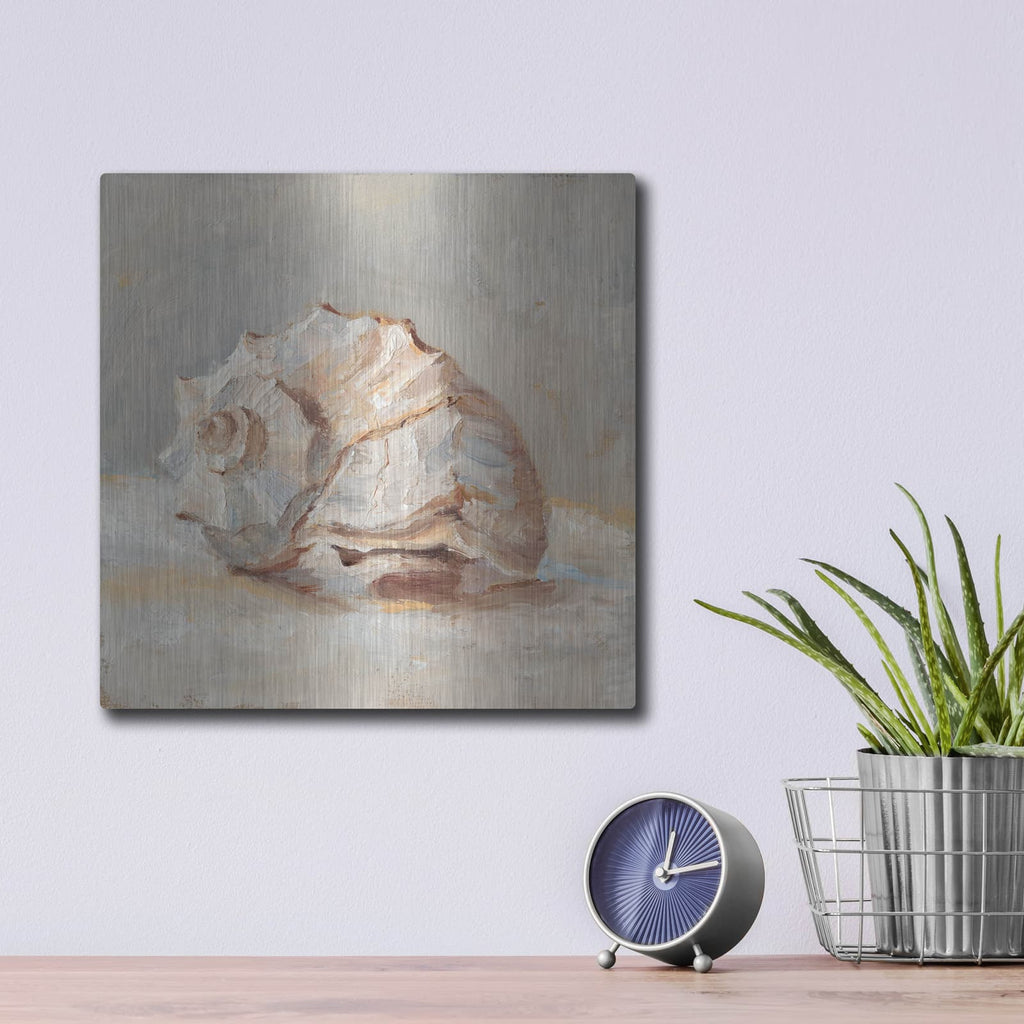 'Impressionist Shell Study II' by Ethan Harper – Metal Wall Art, 12x12 room view