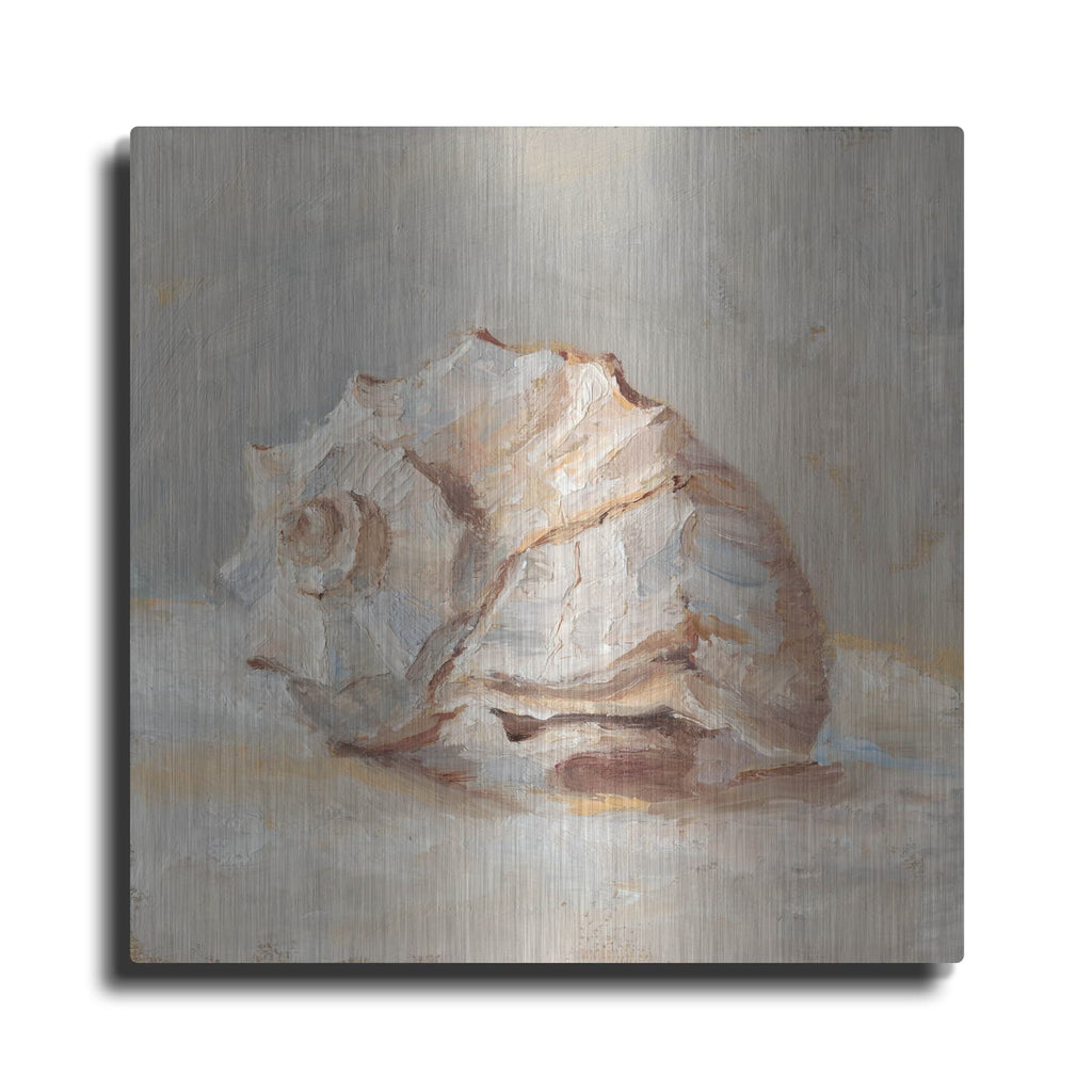 'Impressionist Shell Study II' by Ethan Harper – Metal Wall Art
