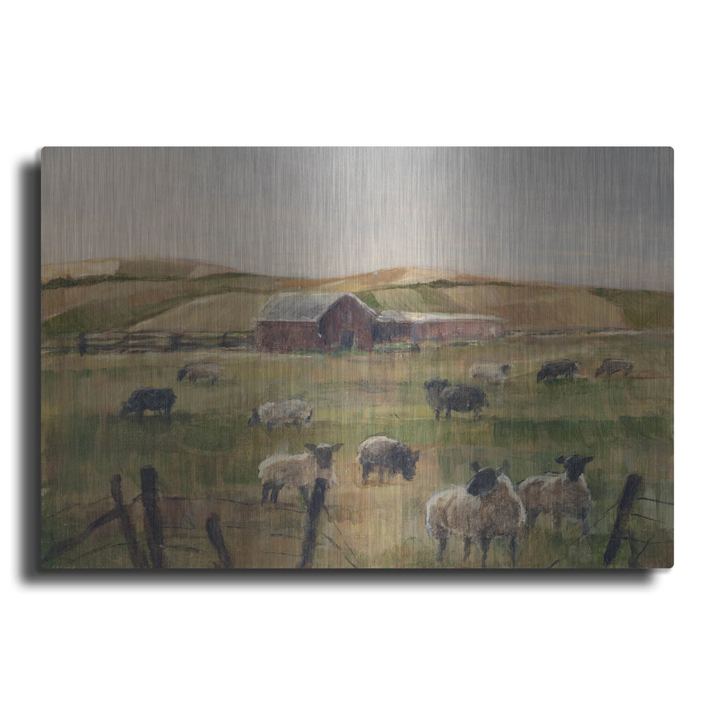 'Grazing Sheep II' by Ethan Harper – Metal Wall Art