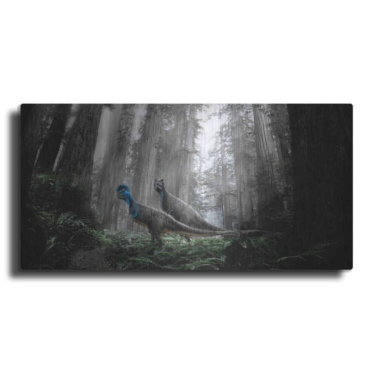 'Breeding Season' by Damir Martin – Metal Wall Art