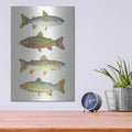 'Angling in the Stream V' by Courtney Prahl – Metal Wall Art, 12x16 room view