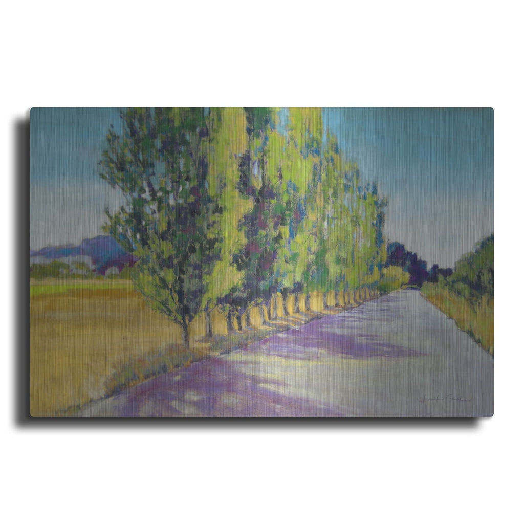 'Backlit Poplars Provence' by Jennifer Gardner – Metal Wall Art