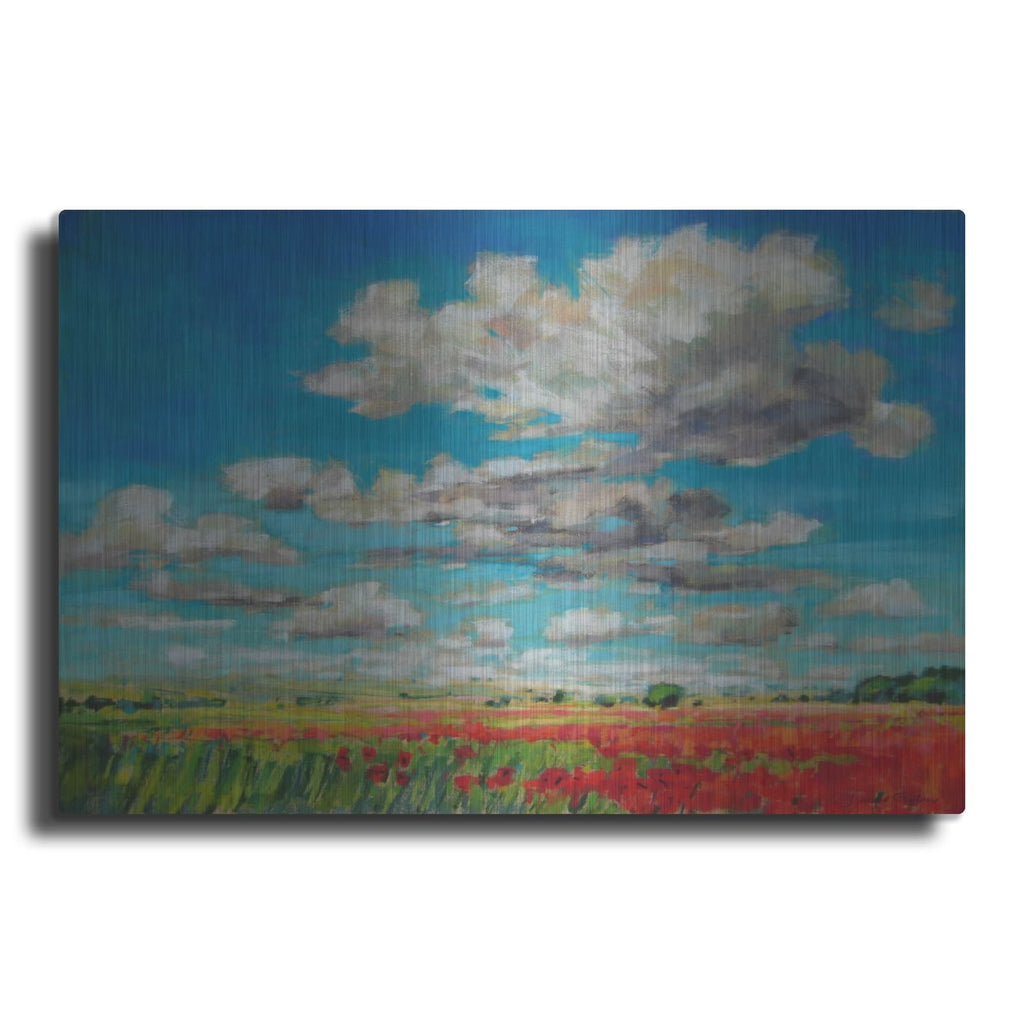 'Summer Clouds and Poppies' by Jennifer Gardner – Metal Wall Art