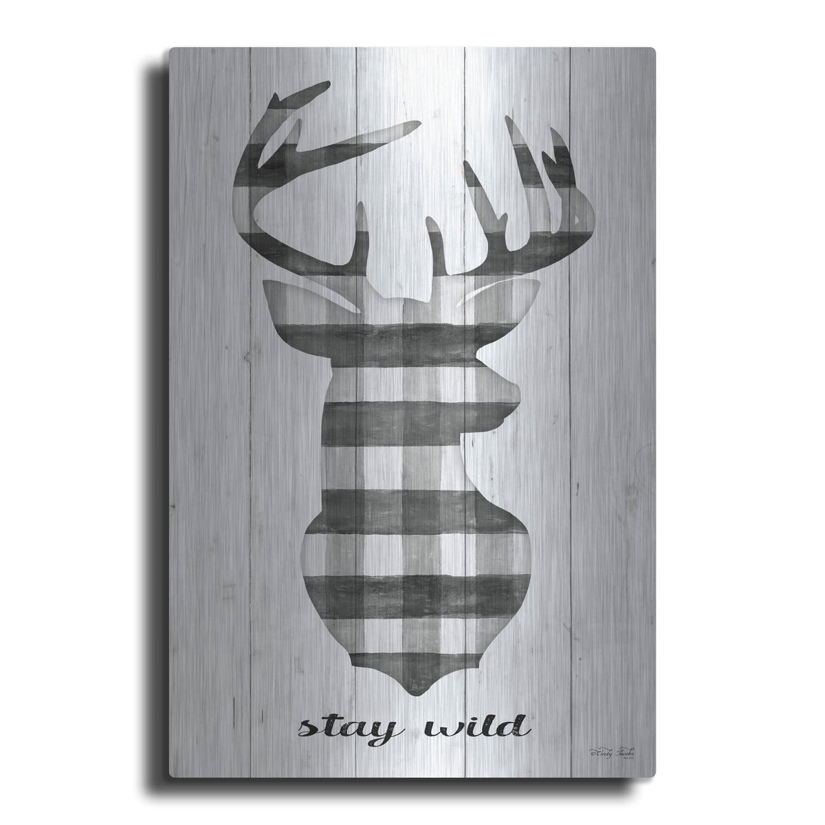 'Stay Wild' by Cindy Jacobs – Metal Wall Art