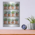 'Succulents on Shelves' by Cindy Jacobs – Metal Wall Art, 12x16 room view