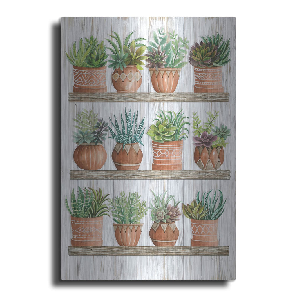 'Succulents on Shelves' by Cindy Jacobs – Metal Wall Art