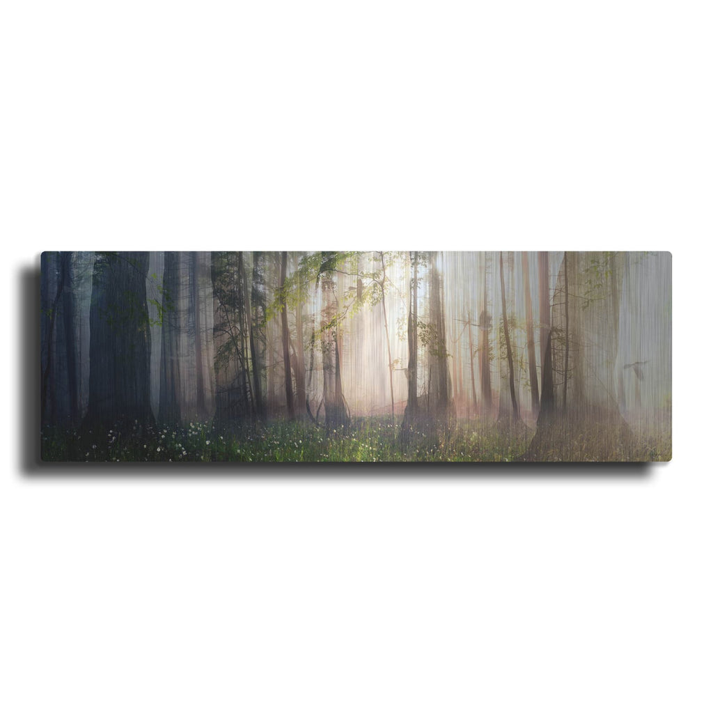 'Constancy' by Cynthia Decker – Metal Wall Art