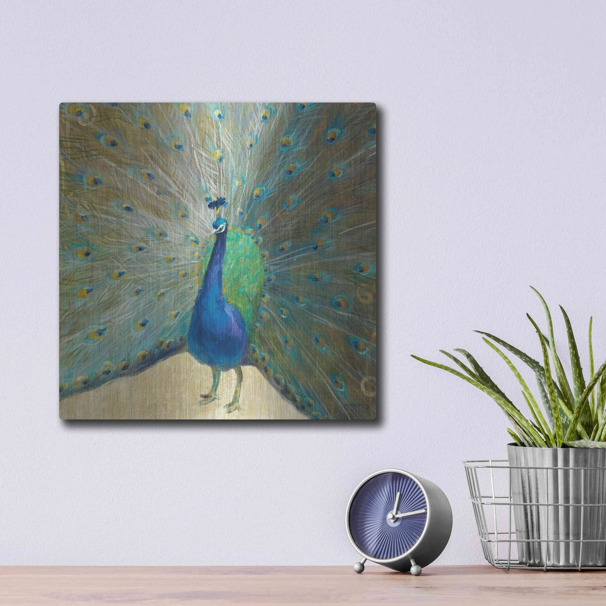 'Blue Peacock' by Danhui Nai – Metal Wall Art, 12x12 room view
