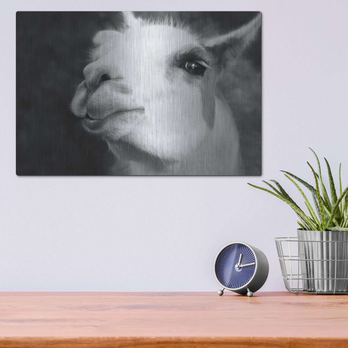 'Lake Tobias Alpaca' by Lori Deiter – Metal Wall Art, 16x12 room view