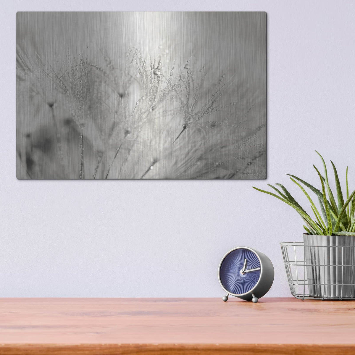 'Dandelion Jewels II' by Lori Deiter – Metal Wall Art, 16x12 room view